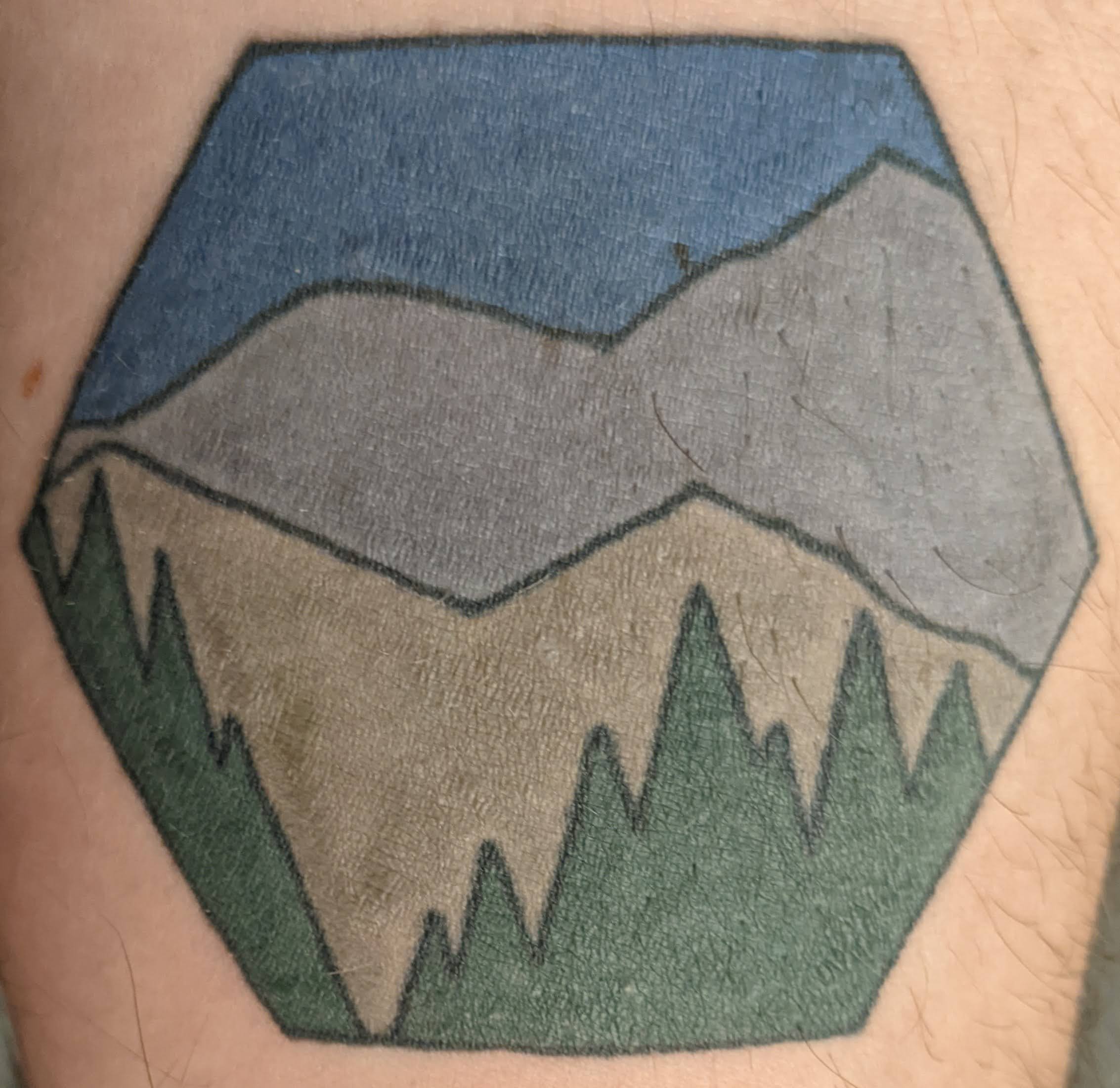 DL-tattoo-healed.jpg|DL Tattoo, hexagon with geometric tree line, hills, and mountain|200